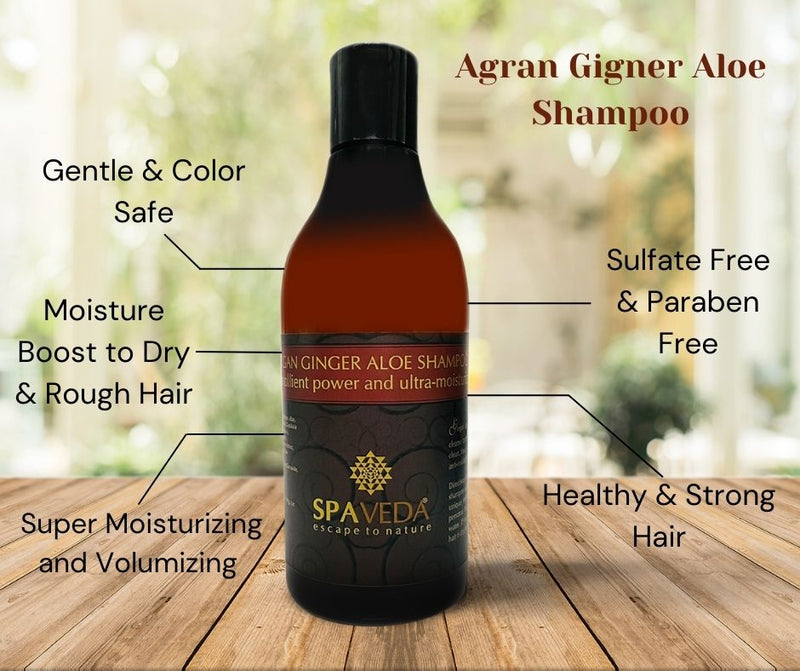 Argan Ginger Aloe Shampoo  | Hydrating & Lightweight Volume | Sulfate-Free